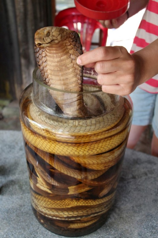 Reisschnaps mit Schlangen darin soll eine Heilwirkung haben. Wir bleiben lieber beim Bier :-)