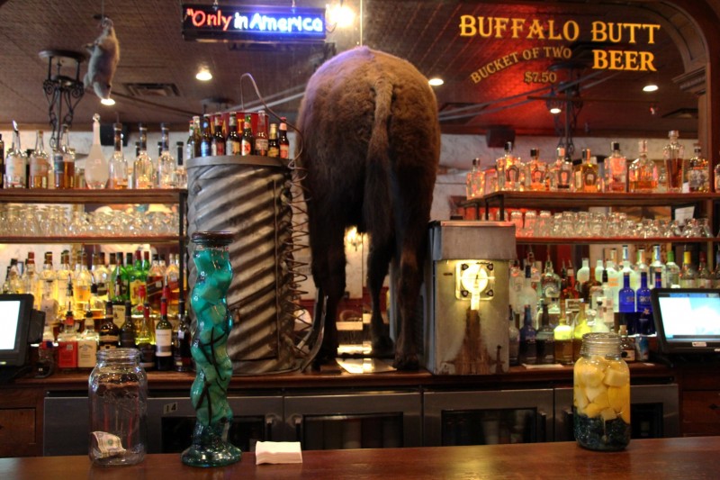Gibts auch nur in Texas: Ein Buffalo Butt als Bar-Deko