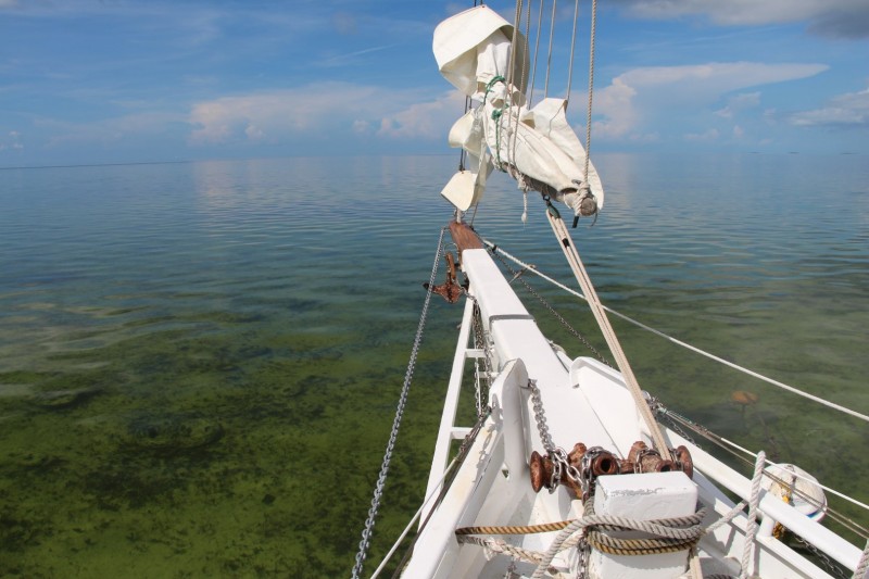 Spiegelglattes Meer ist in den Keys Standard - die durchschnittliche Wassertiefe ist nur etwa 2 m