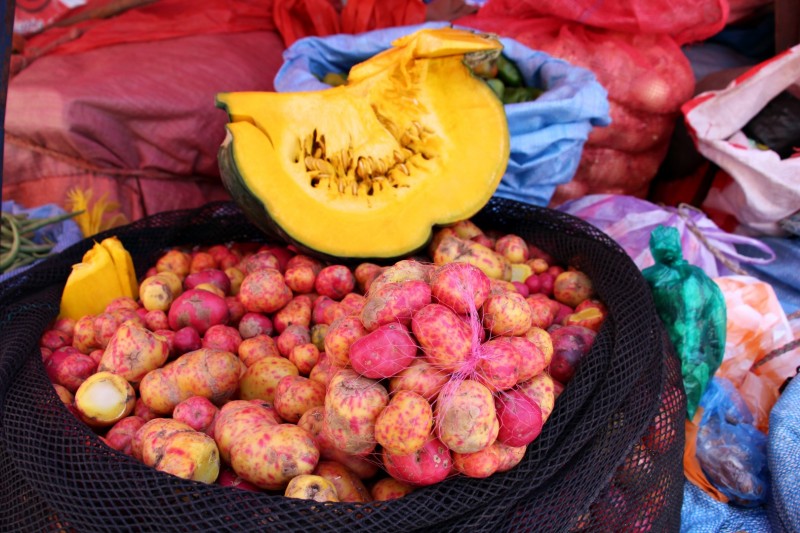 In La Paz gibt es ca. 400 verschiedene Kartoffelarten, in ganz Suedamerika ca. 4000 oder mehr.